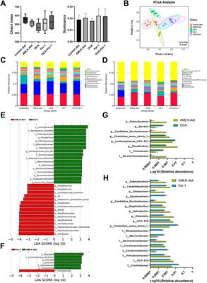 Obeticholic acid and ferrostatin-1 differentially ameliorate non-alcoholic steatohepatitis in AMLN diet-fed ob/ob mice